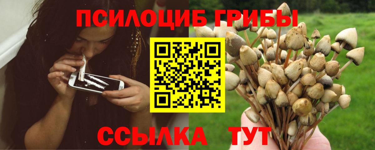 Чайковский  купить наркоту  Вход с VPN  Псилоцибиновые грибы ЛСД 