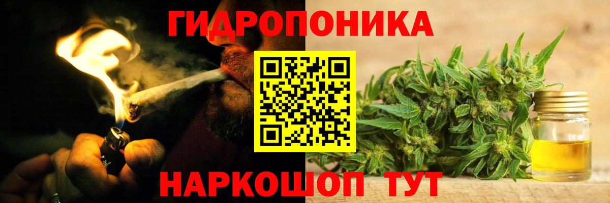 Каннабис SATIVA & INDICA  Вход с VPN  Шишки марихуана конопля  Чайковский  Канабис Bruce Banner  Каннабис сатива 